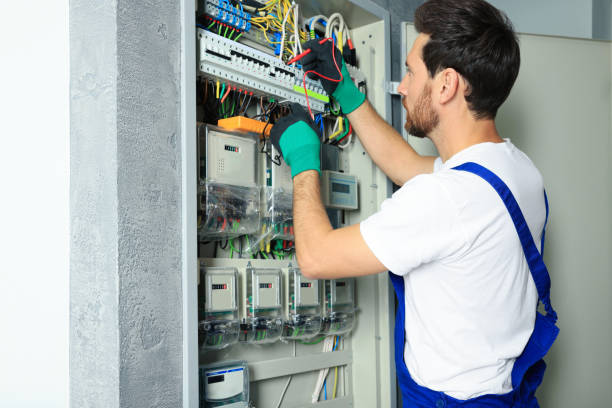 Best Electric Panel Repair  in Bellwood, VA